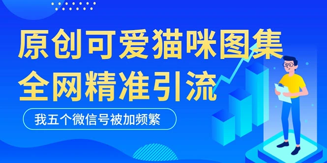 黑科技纯原创可爱猫咪图片，全网精准引流，实操5个VX号被加频繁-尖峰创圈资源站