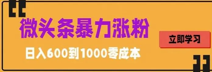 微头条暴力涨粉技巧搬运文案就能涨几万粉丝，简单0成本，日赚600-尖峰创圈资源站