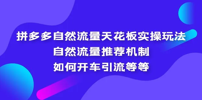 拼多多自然流量天花板实操玩法：自然流量推荐机制，如何开车引流等等-尖峰创圈资源站