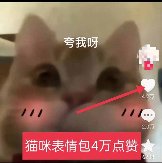 图片[3]-黑科技纯原创可爱猫咪图片，全网精准引流，实操5个VX号被加频繁-臭虾米项目网