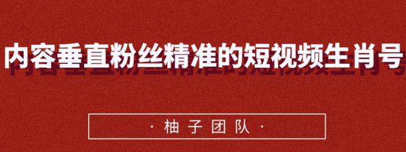 内容垂直粉丝精准的短视频生肖号，小众领域简单操作月入10000+【视频课程】-尖峰创圈资源站