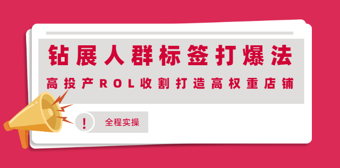 钻展人群标签打爆法,高投产ROL收割打造高权重店铺(全程实操)