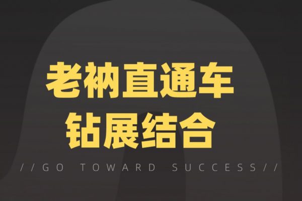 淘宝店铺运营推广课程：老衲直通车钻展结合 下载 (价值398)-尖峰创圈资源站