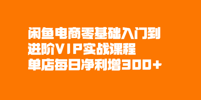 闲鱼电商零基础入门到进阶VIP实战课程,单店每日净利增300+