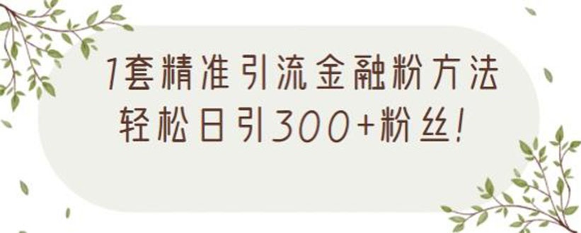 1套精准引流金融粉方法,轻松日引300+粉丝【视频课程】