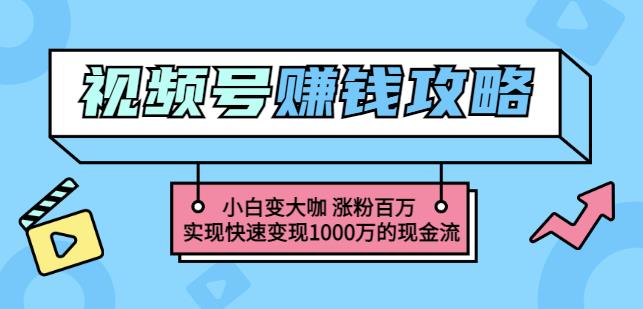 玩转微信视频号赚钱：小白变大咖涨粉百万实现快速变现1000万的现金流-尖峰创圈资源站