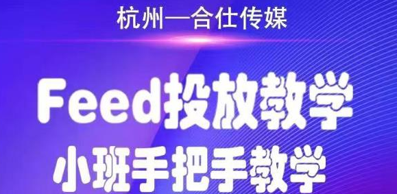合仕传媒FEED投放教学，手把手教学，开车烧钱必须自己会！-尖峰创圈资源站