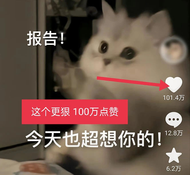 图片[4]-黑科技纯原创可爱猫咪图片，全网精准引流，实操5个VX号被加频繁-臭虾米项目网