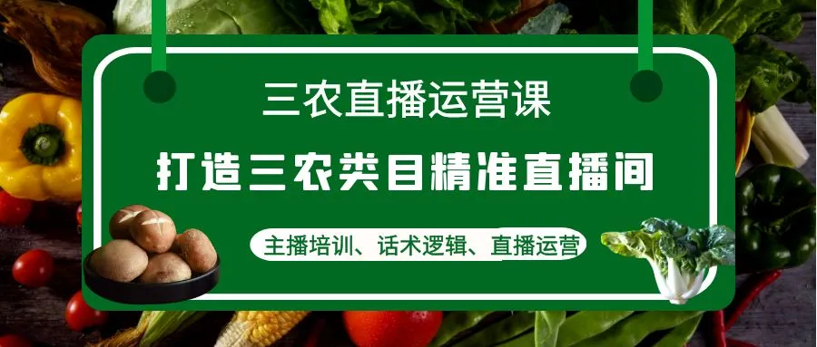 三农直播运营课：打造三农类目精准直播间，主播培训、话术逻辑、直播运营-尖峰创圈资源站