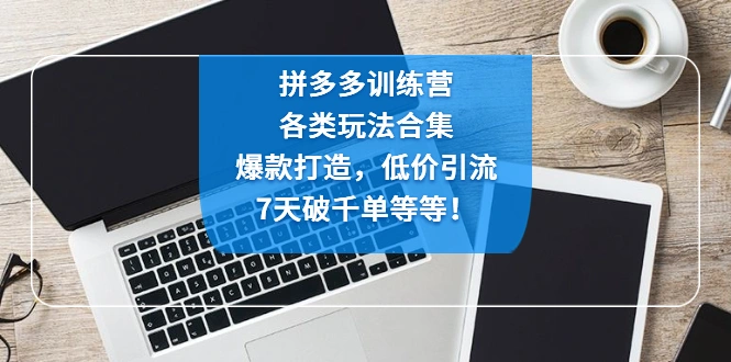 拼多多训练营：各玩法合集，爆款打造，低价引流，7天破千单等等！-尖峰创圈资源站