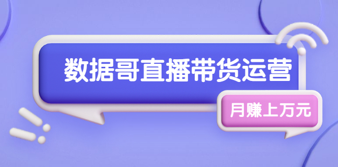 数据哥直播带货运营线上进阶课，让普通人也能靠直播月赚上万元-尖峰创圈资源站