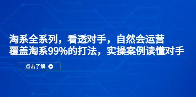 淘系全系列，看透对手，自然会运营，覆盖淘系99%·打法，实操案例读懂对手-尖峰创圈资源站