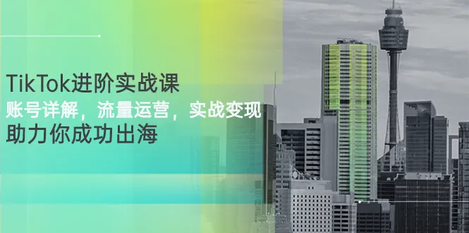 TikTok进阶实战课：账号详解，流量运营，实战变现，助力你成功出海-尖峰创圈资源站