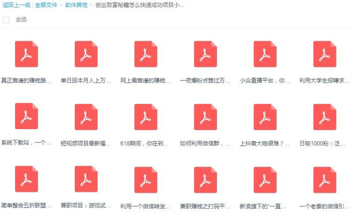 创业致富秘籍怎么快速成功项目小本创业生意思路方法捞偏门课教程（PDF电子书）-尖峰创圈资源站